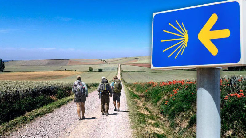 Trekking e Cammino cover